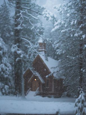 Обои 1668x2224 дом в лесу, зима, снег