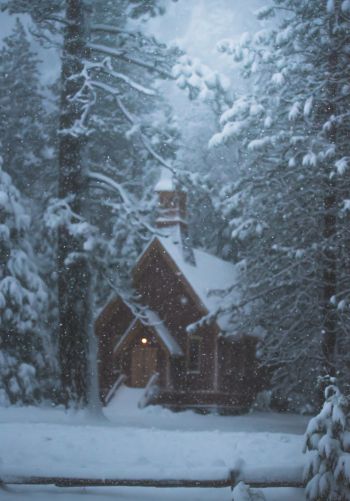 Обои 1668x2388 дом в лесу, зима, снег