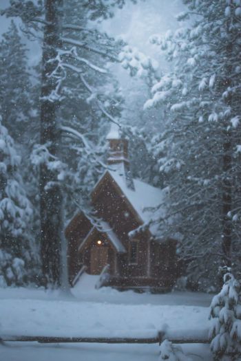 Обои 640x960 дом в лесу, зима, снег