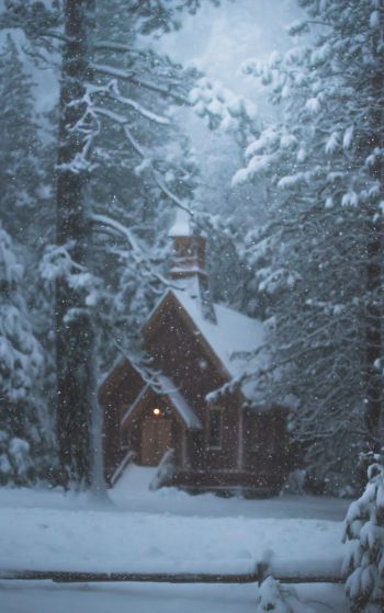 Обои 1752x2800 дом в лесу, зима, снег