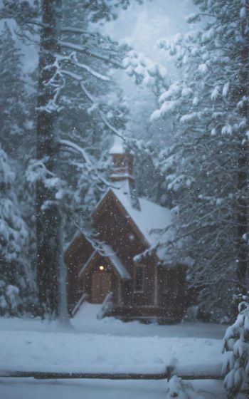 Обои 800x1280 дом в лесу, зима, снег