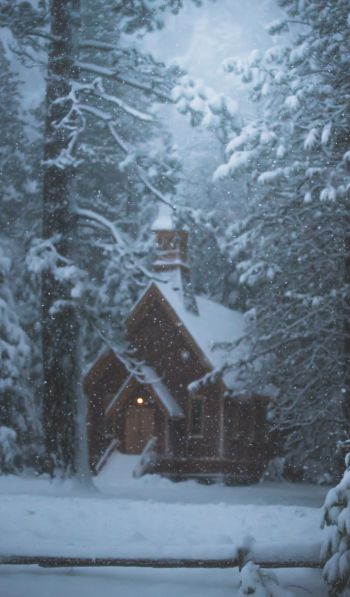 Обои 600x1024 дом в лесу, зима, снег