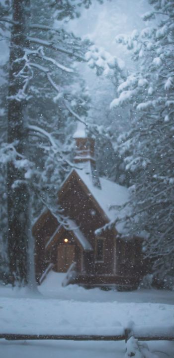 house in the woods, winter, snow Wallpaper 1440x2960