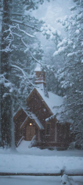 house in the woods, winter, snow Wallpaper 720x1600