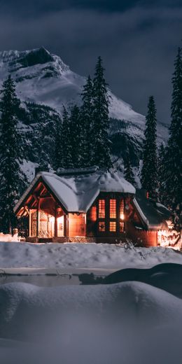 house in the woods, winter, night Wallpaper 720x1440