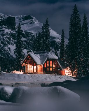 Обои 4480x5600 дом в лесу, зима, ночь