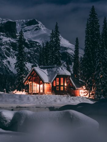 house in the woods, winter, night Wallpaper 2048x2732