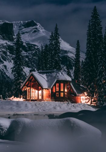 house in the woods, winter, night Wallpaper 1668x2388