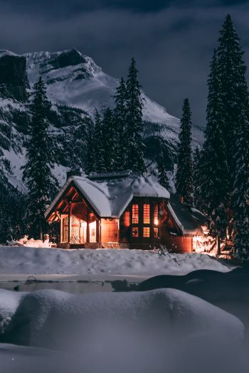 Обои 640x960 дом в лесу, зима, ночь