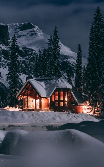 Обои 1200x1920 дом в лесу, зима, ночь