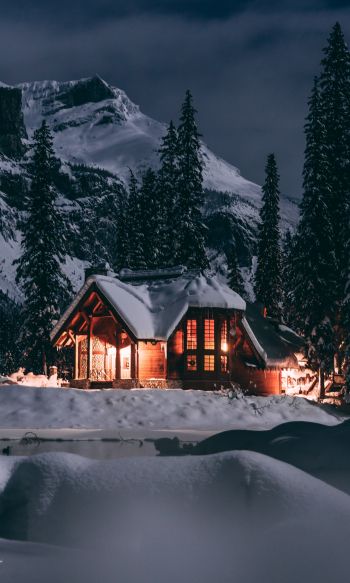 Обои 1200x2000 дом в лесу, зима, ночь