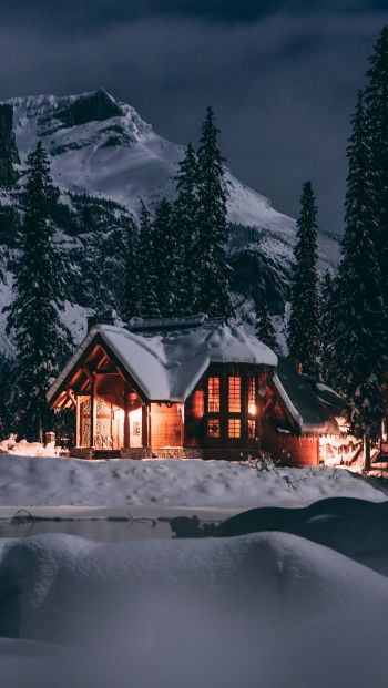 Обои 640x1136 дом в лесу, зима, ночь