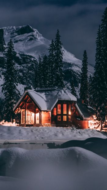Обои 1440x2560 дом в лесу, зима, ночь