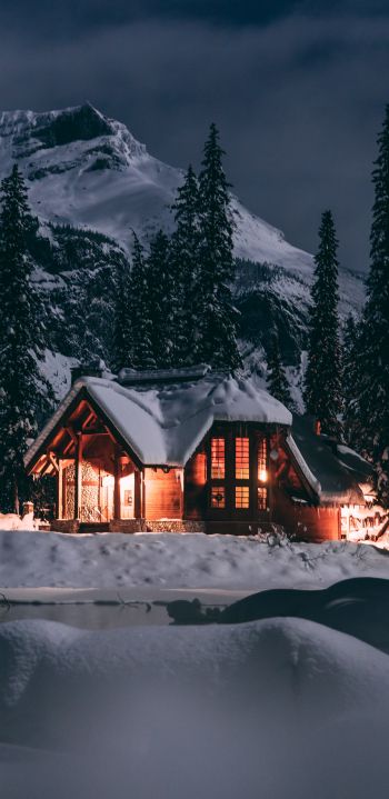 Обои 1080x2220 дом в лесу, зима, ночь