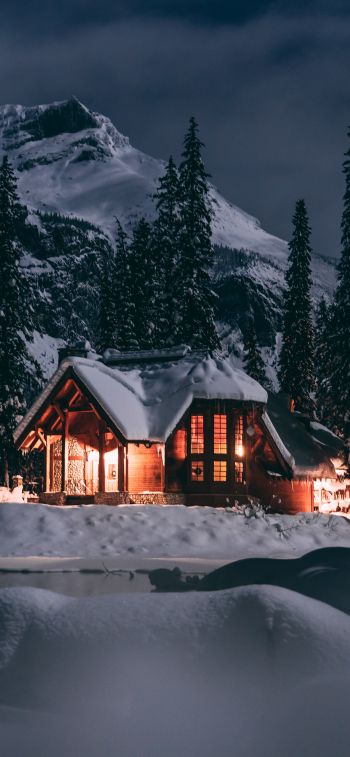house in the woods, winter, night Wallpaper 1284x2778