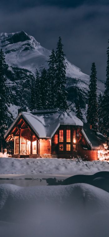 Обои 1080x2340 дом в лесу, зима, ночь