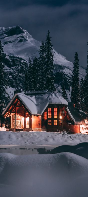 Обои 1080x2400 дом в лесу, зима, ночь