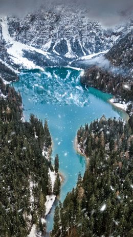 mountains, forest, snowfall Wallpaper 640x1136