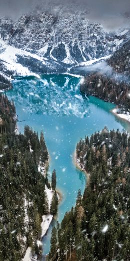 mountains, forest, snowfall Wallpaper 720x1440