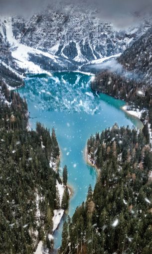 mountains, forest, snowfall Wallpaper 1200x2000