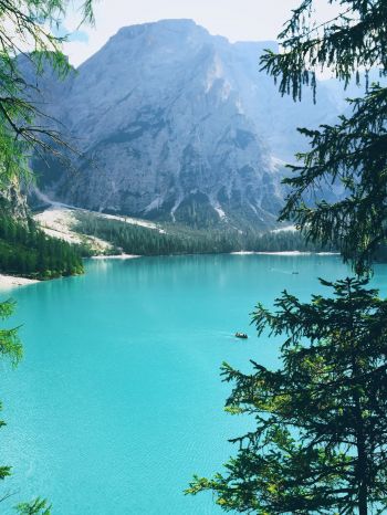 mountains, lake, forest Wallpaper 1536x2048