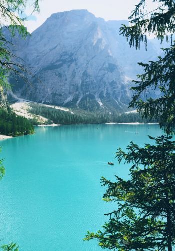 mountains, lake, forest Wallpaper 1668x2388