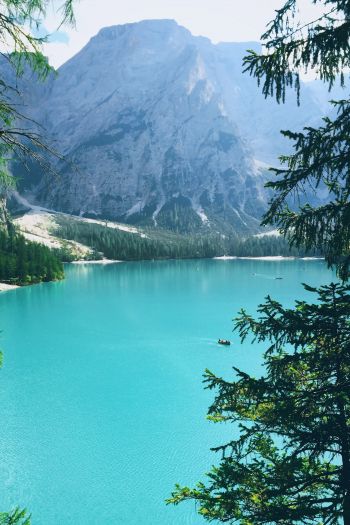 mountains, lake, forest Wallpaper 640x960