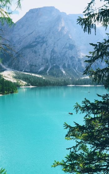 mountains, lake, forest Wallpaper 800x1280