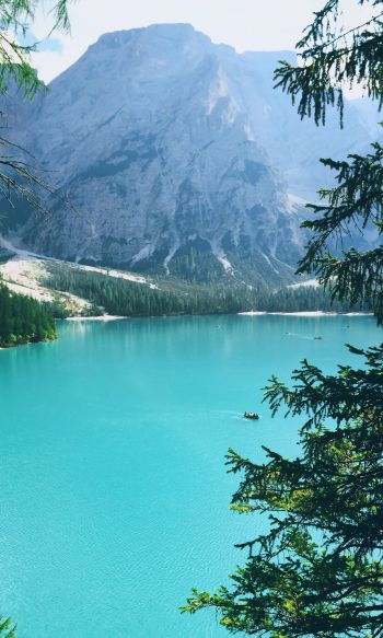 mountains, lake, forest Wallpaper 1200x2000