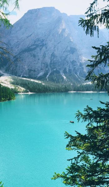 mountains, lake, forest Wallpaper 600x1024