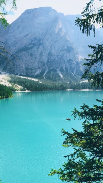 mountains, lake, forest Wallpaper 720x1280
