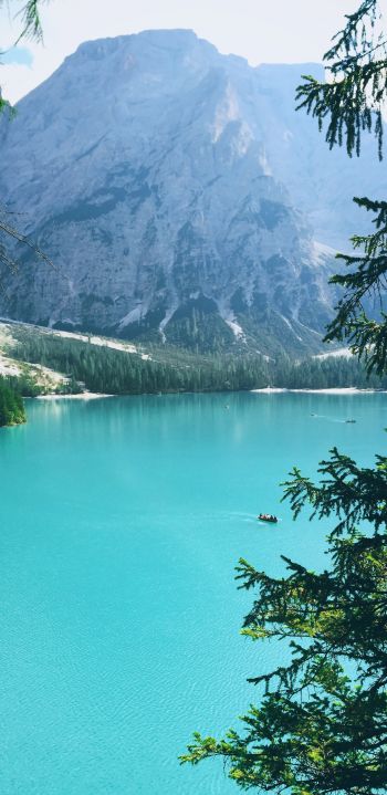mountains, lake, forest Wallpaper 1080x2220