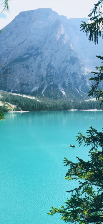 mountains, lake, forest Wallpaper 828x1792