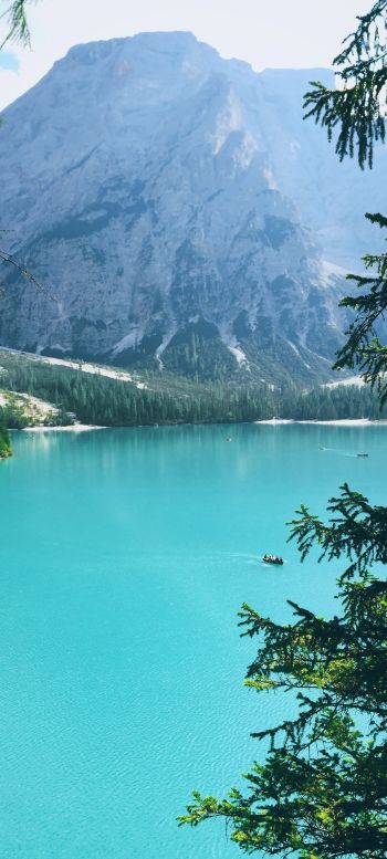 mountains, lake, forest Wallpaper 1080x2400