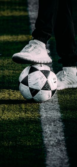 sport, sneakers, ball Wallpaper 1170x2532