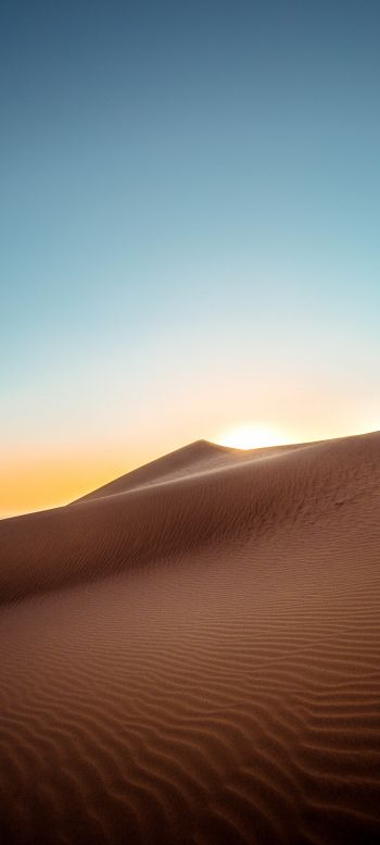 sand dunes, sky Wallpaper 1440x3200