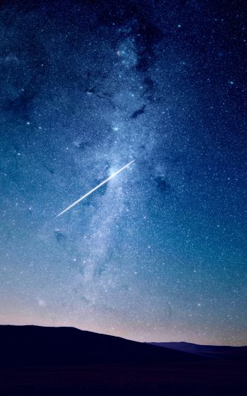 starry sky, shooting star Wallpaper 1600x2560