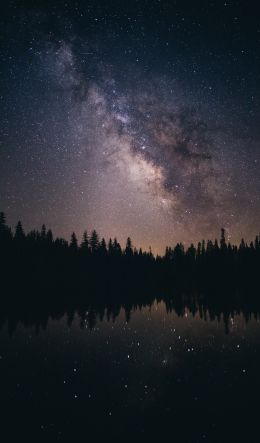 milky way, starry sky Wallpaper 600x1024