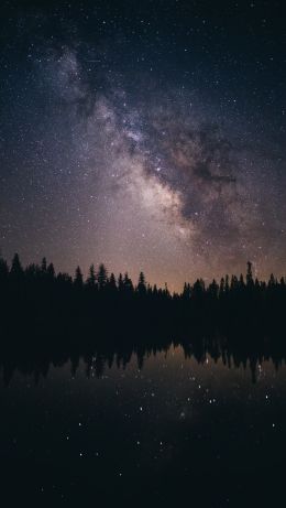 milky way, starry sky Wallpaper 640x1136