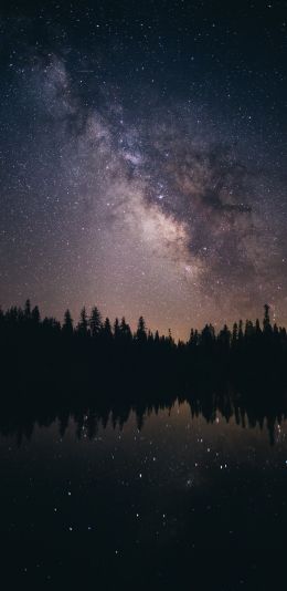 milky way, starry sky Wallpaper 1080x2220