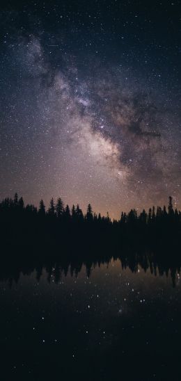 milky way, starry sky Wallpaper 720x1520