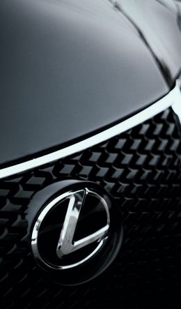 Lexus, emblem, radiator grill Wallpaper 600x1024