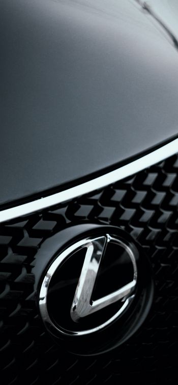 Lexus, emblem, radiator grill Wallpaper 828x1792