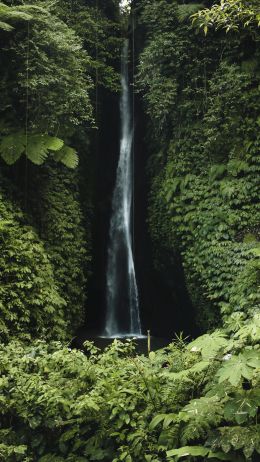 Обои 1440x2560 Бали, Индонезия, водопад