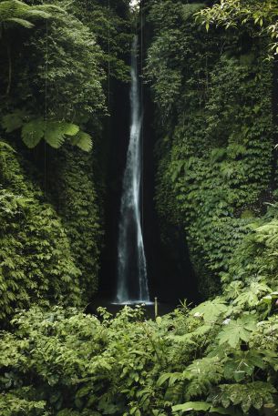 Обои 3648x5472 Бали, Индонезия, водопад