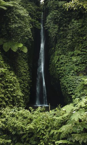 Bali, Indonesia, waterfall Wallpaper 1200x2000