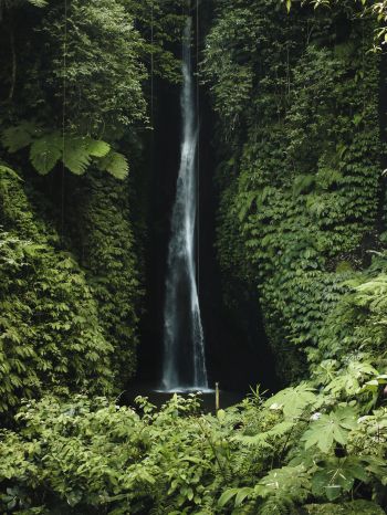 Обои 1620x2160 Бали, Индонезия, водопад