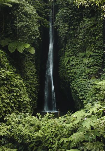 Bali, Indonesia, waterfall Wallpaper 1668x2388