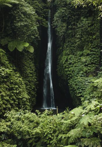 Bali, Indonesia, waterfall Wallpaper 1640x2360