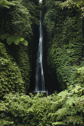 Bali, Indonesia, waterfall Wallpaper 640x960